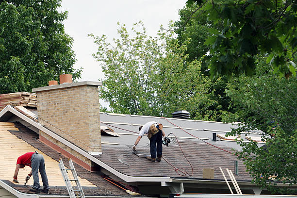 Best Storm Damage Roof Repair  in Winfield, IA