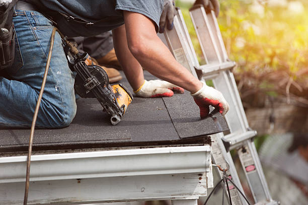 Best Roof Gutter Cleaning  in Winfield, IA