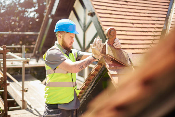 Best Shingle Roofing Installation  in Winfield, IA
